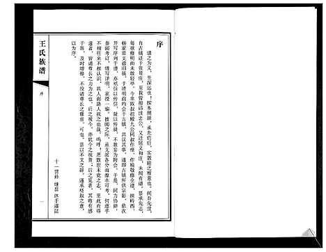 [王]王氏族谱 (山东) 王氏家谱_一.pdf