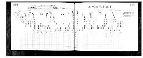 [王]王氏族谱 (山东) 王氏家谱_一.pdf