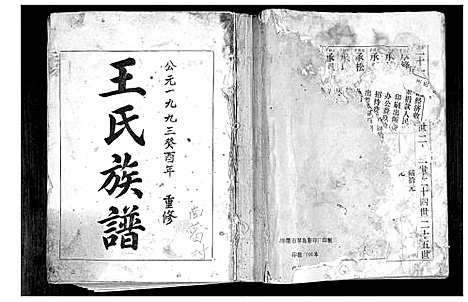 [王]王氏族谱 (山东) 王氏家谱_一.pdf