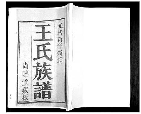 [王]王氏族谱 (山东) 王氏家谱_一.pdf