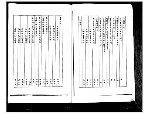 [王]王氏族谱 (山东) 王氏家谱.pdf