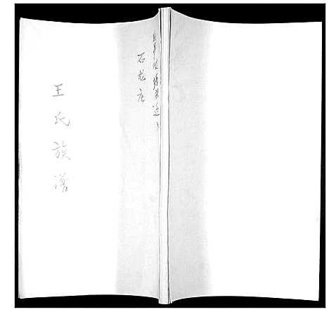 [王]王氏族谱 (山东) 王氏家谱.pdf