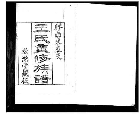 [王]王氏族谱 (山东) 王氏家谱_一.pdf