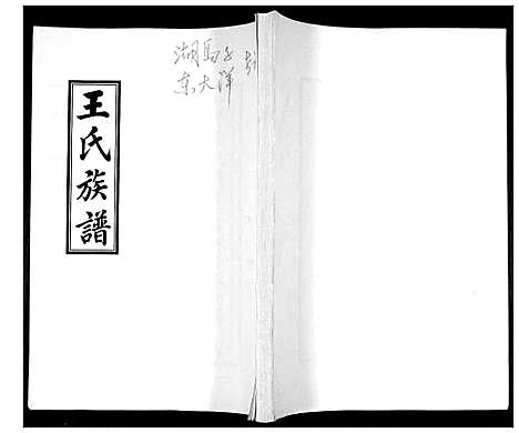 [王]王氏族谱 (山东) 王氏家谱.pdf