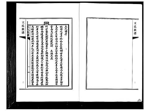 [王]王氏族谱 (山东) 王氏家谱.pdf