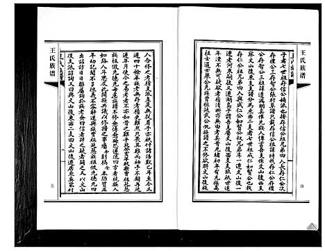 [王]王氏族谱 (山东) 王氏家谱.pdf