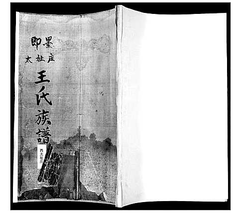 [王]王氏族谱 (山东) 王氏家谱.pdf