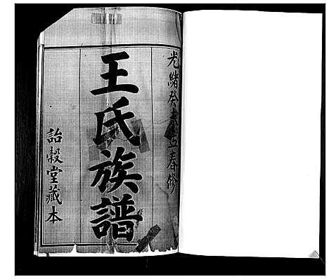 [王]王氏族谱 (山东) 王氏家谱.pdf