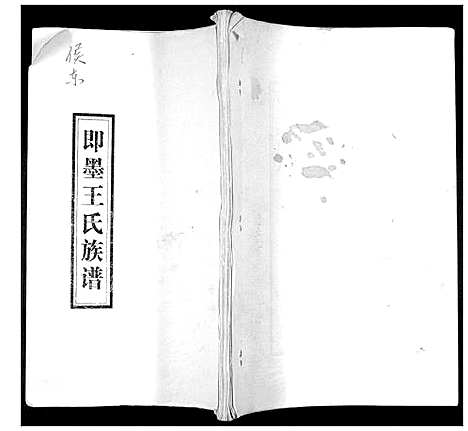 [王]王氏族谱 (山东) 王氏家谱_一.pdf