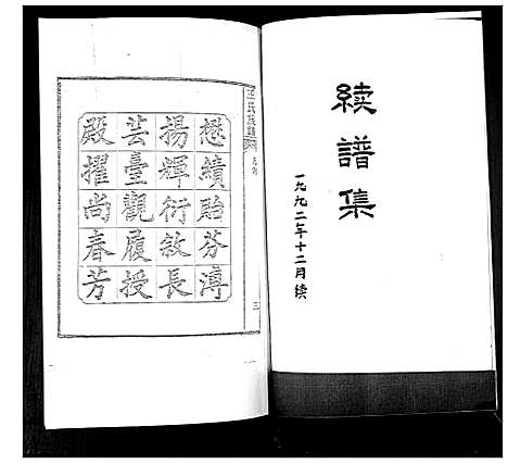 [王]王氏族谱 (山东) 王氏家谱.pdf