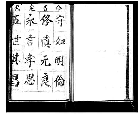 [王]王氏族谱 (山东) 王氏家谱.pdf