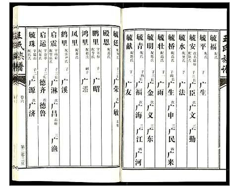 [王]王氏族谱 (山东) 王氏家谱_五.pdf