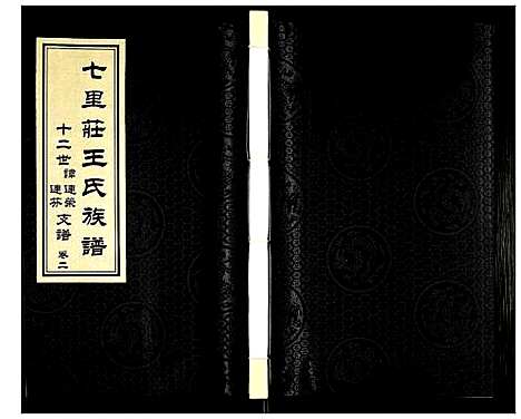 [王]王氏族谱 (山东) 王氏家谱_二.pdf