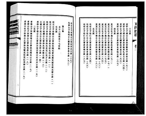 [王]王氏族谱_2卷 (山东) 王氏家谱_二.pdf