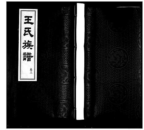 [王]王氏族谱_3卷 (山东) 王氏家谱_四.pdf