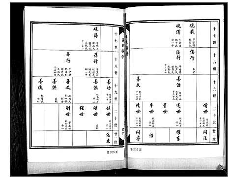 [王]王氏族谱_4卷 (山东) 王氏家谱_四.pdf