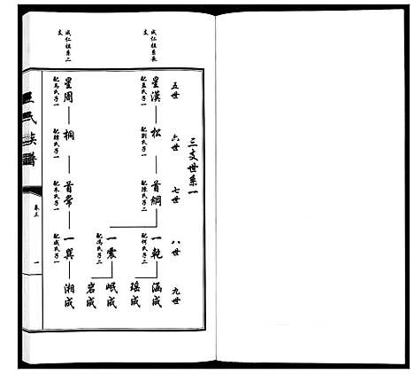 [王]王氏族谱_5卷 (山东) 王氏家谱_三.pdf