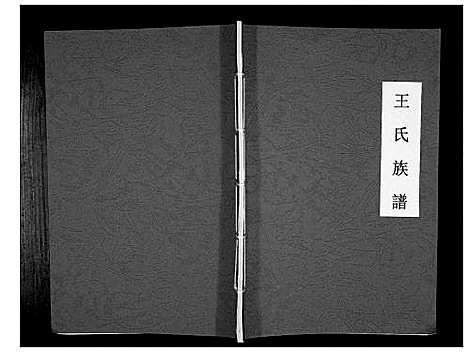 [王]王氏族谱_不分卷 (山东) 王氏家谱_一.pdf