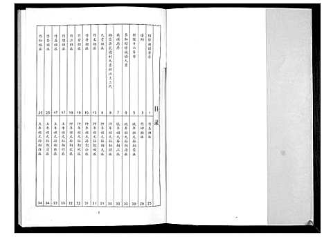 [王]王氏祖谱 (山东) 王氏祖谱.pdf