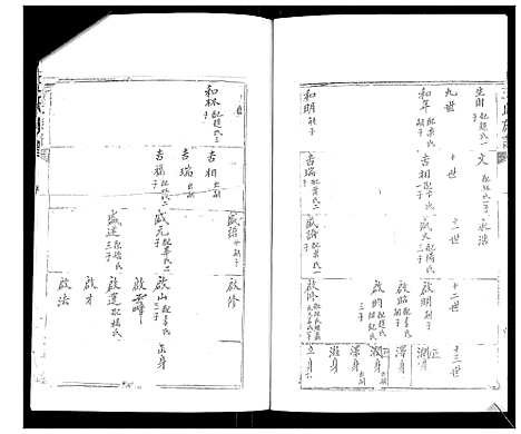 [王]王氏谱书 (山东) 王氏谱.pdf