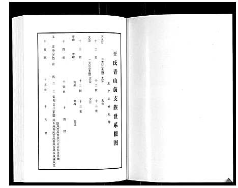 [王]王氏青山前支族家谱 (山东) 王氏青山前支家家谱_一.pdf