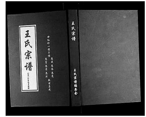 [王]琅琊王氏家谱 (山东) 琅琊王氏家谱_一.pdf