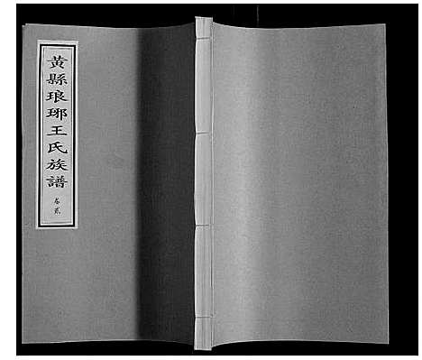 [王]黄县琅琊王氏族谱 (山东) 黄县琅琊王氏家谱_二.pdf