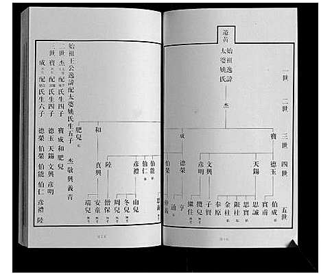 [王]黄县琅琊王氏族谱 (山东) 黄县琅琊王氏家谱_二.pdf