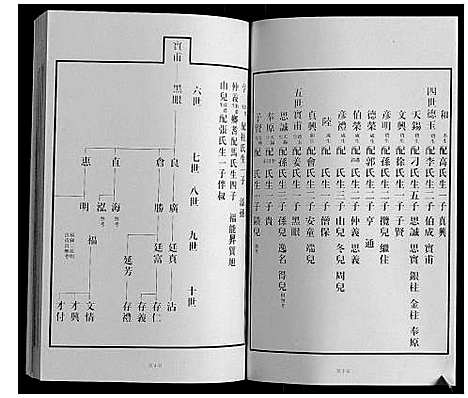 [王]黄县琅琊王氏族谱 (山东) 黄县琅琊王氏家谱_二.pdf