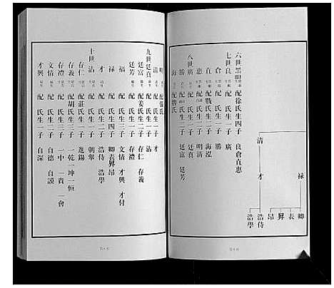 [王]黄县琅琊王氏族谱 (山东) 黄县琅琊王氏家谱_二.pdf