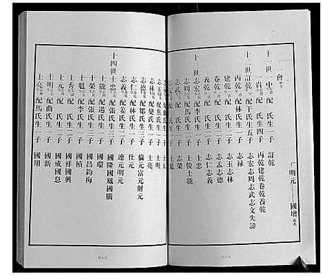 [王]黄县琅琊王氏族谱 (山东) 黄县琅琊王氏家谱_三.pdf