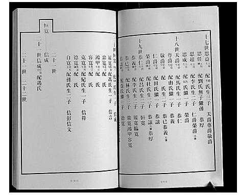 [王]黄县琅琊王氏族谱 (山东) 黄县琅琊王氏家谱_三.pdf