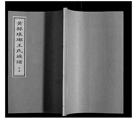 [王]黄县琅琊王氏族谱 (山东) 黄县琅琊王氏家谱_四.pdf