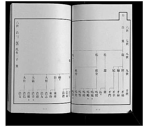 [王]黄县琅琊王氏族谱 (山东) 黄县琅琊王氏家谱_四.pdf