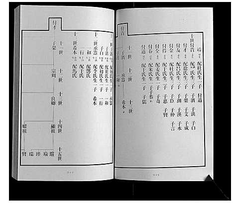 [王]黄县琅琊王氏族谱 (山东) 黄县琅琊王氏家谱_五.pdf