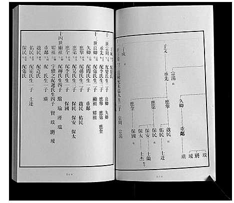 [王]黄县琅琊王氏族谱 (山东) 黄县琅琊王氏家谱_五.pdf