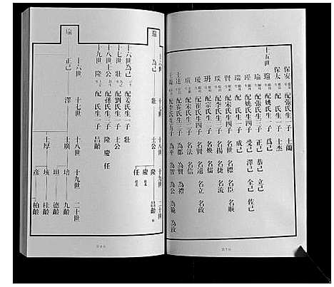 [王]黄县琅琊王氏族谱 (山东) 黄县琅琊王氏家谱_五.pdf