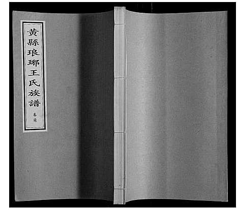 [王]黄县琅琊王氏族谱 (山东) 黄县琅琊王氏家谱_七.pdf