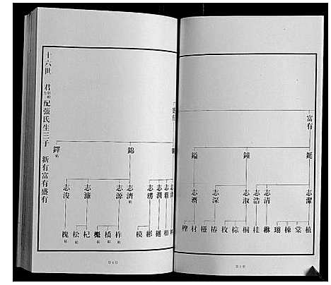 [王]黄县琅琊王氏族谱 (山东) 黄县琅琊王氏家谱_七.pdf