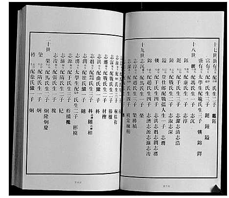 [王]黄县琅琊王氏族谱 (山东) 黄县琅琊王氏家谱_七.pdf