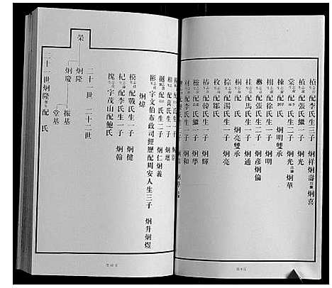 [王]黄县琅琊王氏族谱 (山东) 黄县琅琊王氏家谱_七.pdf