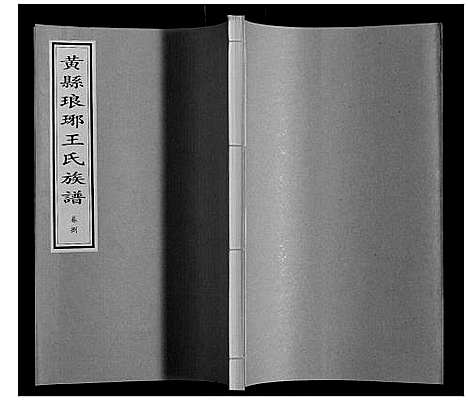 [王]黄县琅琊王氏族谱 (山东) 黄县琅琊王氏家谱_八.pdf