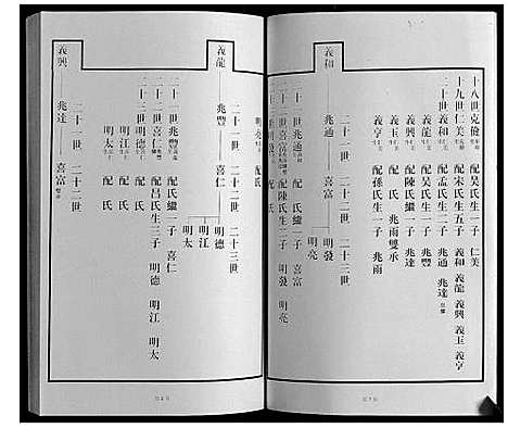 [王]黄县琅琊王氏族谱 (山东) 黄县琅琊王氏家谱_八.pdf