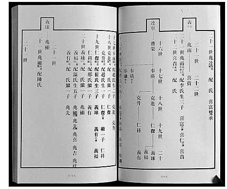 [王]黄县琅琊王氏族谱 (山东) 黄县琅琊王氏家谱_八.pdf