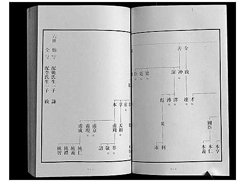 [王]黄县琅琊王氏族谱 (山东) 黄县琅琊王氏家谱_九.pdf