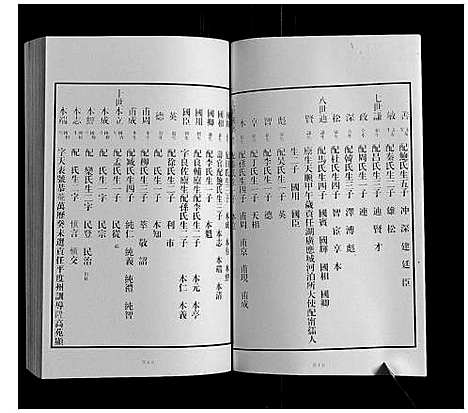 [王]黄县琅琊王氏族谱 (山东) 黄县琅琊王氏家谱_九.pdf