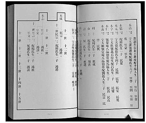 [王]黄县琅琊王氏族谱 (山东) 黄县琅琊王氏家谱_九.pdf