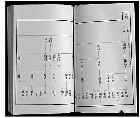 [王]黄县琅琊王氏族谱 (山东) 黄县琅琊王氏家谱_九.pdf