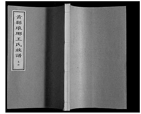 [王]黄县琅琊王氏族谱 (山东) 黄县琅琊王氏家谱_十.pdf