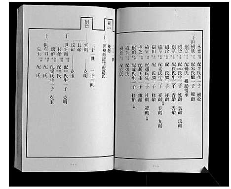 [王]黄县琅琊王氏族谱 (山东) 黄县琅琊王氏家谱_十.pdf